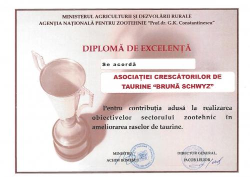 Diploma de excelenta - Asociatia Bruna Schwyz Maramures